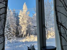 Arctic Landhaus, hotel in Sotkamo