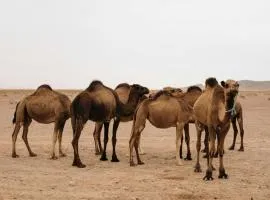 Maison d'hôtes tilleli