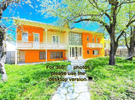 Art Villa Bakuriani, Hotel in Bakuriani