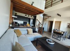 Duplex moderne, chaleureux au calme à Toison d'or