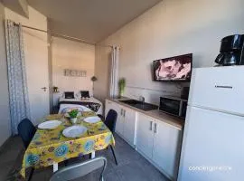 Les Glaneuses le Studio centre-bourg à 3 min du Puy duFou