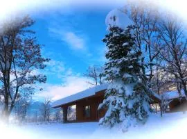 Lazy Bee Camping Village