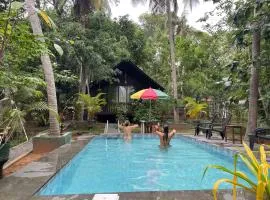 Nature World Jungle Paradise