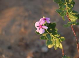 Exit 96 Farm Stay, farm stay in Pāli