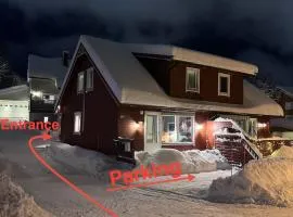 Half of a semi-detached house with 2 bedrooms, 1100 m to city center!