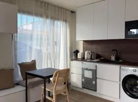 Le 1000 fleurs studio neuf à 3 kms de La Rochelle