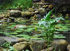 Ranpokuna Bungalow with 3 Bed Rooms