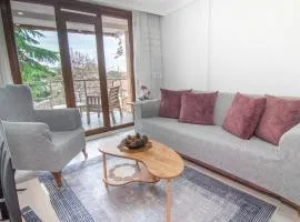 Cozy 1br & Sofabed With Two Inviting Balconies