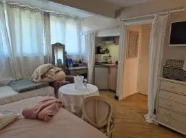 La Lilloise Villeneuve D'Ascq GD STADE Mauroy