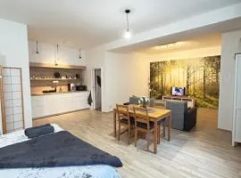 Ubytování v srdci Písku