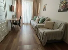 მგზავრები Mgzavreni IV აპარტამენტი Apartment 205