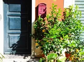 Casa Terrazza Marino