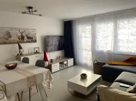 Centrally located and comfortable apartment - Daubenhorn 32