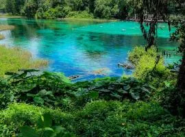 Rainbow River Bungalow with Early Checkin!