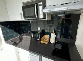 Bright luxury apartment 26