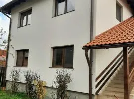 Casa Flamingo Vendeghaz