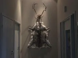 Arctic Fox Rovaniemi