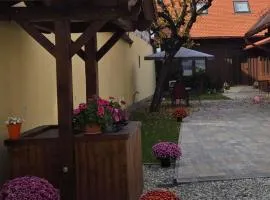 Casa Sura Sasilor