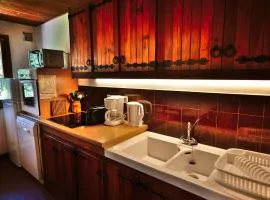 Appartement 6 pers dans chalet calme proche pistes - FR-1-458-261