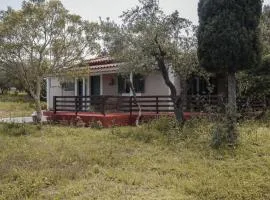 Lithies Organic Farm