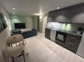 Cozy apartment near the city center and nature