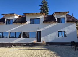 Pensiunea Heaven, chal&eacute; alpino em D&icirc;mbovicioara