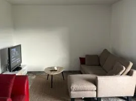 LOGEMENT ENTIEREMENT MEUBLE à VALLEIRY prêt de Genève