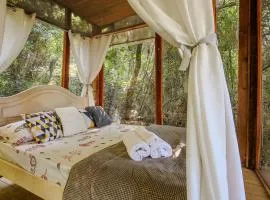 Casa de Vidro na Mata há 90km de São Paulo, com Lago, Piscina, Caiaque, Stand UP, Cascata e Escorrega no Lago - Quinta do Vale Itatiba