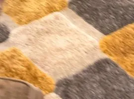 South shields collection