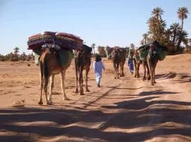 Camp azawan hananich