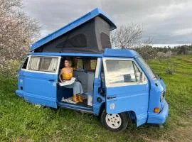 rent a campervan vw t3 azul in Algarve Portugal