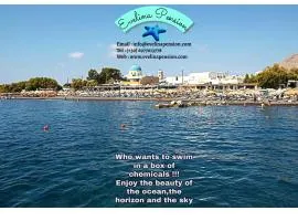 Evelina Beach Pension means vacation beside the sea, Who wants to swim in a box of chemicals, Swimming in the sea,There is nothing like a morning walk on a beach Beachlife definitely has a different vibe