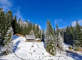 Brunarica na Goreljeku, Pokljuka