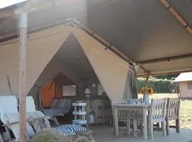 Meadow View Country Park