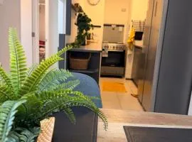 Nuevo - moderno - aire acondicionado- parking privado - céntrico