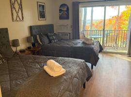 Cozy Slope CondoPet FriendlyShared Pool&HotTub, hotel di Bellaire