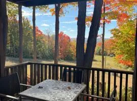 Cozy Condo Slopes, Brewery, Fireplace & View