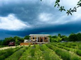 Lavender lodge retreat