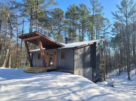 Lux Blue Ridge Cabin, Hot tub, Swing, PingPong!, Hotel in Mineral Bluff