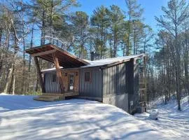 Lux Blue Ridge Cabin, Hot tub, Swing, PingPong!