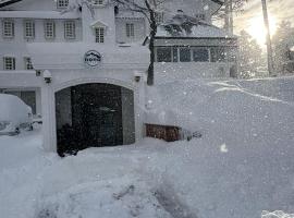 Nona Madarao, hotel u gradu Madarao Kogen