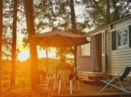 Mobil home 24m² avec terrasse à Beaumont-du-Périgord - API-1-52-412