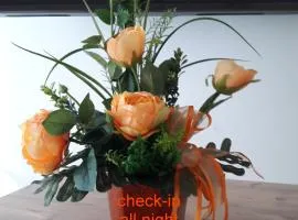 Top-Apartment a.d. Messe