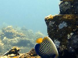 Dhita Dive Bungalow, hotel in Ambat