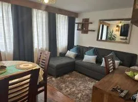 DEPARTAMENTO REÑACA 2 DOMITORIO sector 2