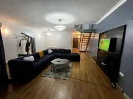 Oceanic-Supreme Standard Spaces