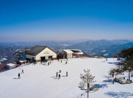 Phoenix Hotel Pyeongchang, hotel v destinaci Pchjongčchang