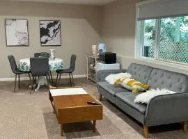 Spacious Basement with independent entry and yard