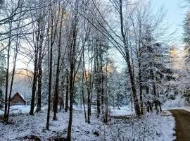 Domek w lesie DiABELSKi KOCiOŁEK