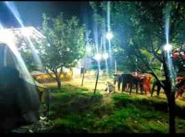 Organic styas manali